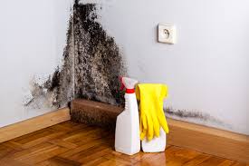 Best Mold Prevention Services in Earlington, KY